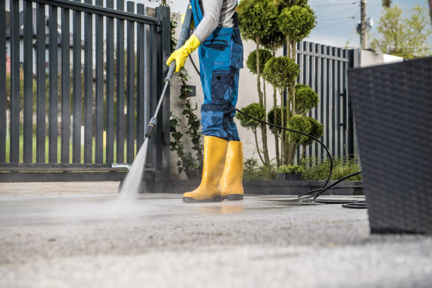 Best Graffiti Removal  in West Hollywood, CA